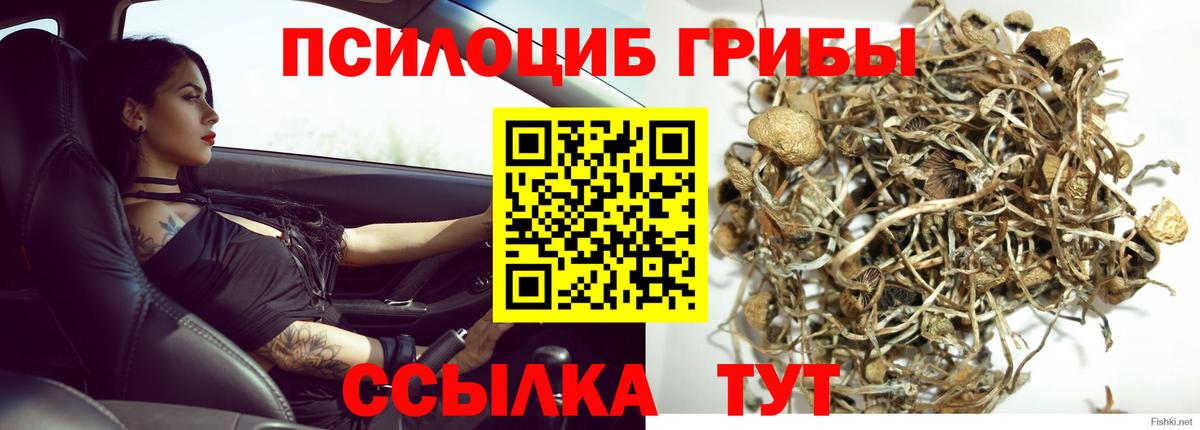 Ревда  Галлюциногенные грибы Psilocybine cubensis  где найти   Галлюциногенные грибы мухоморы  Вход с VPN 